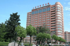 国务院总理正在第